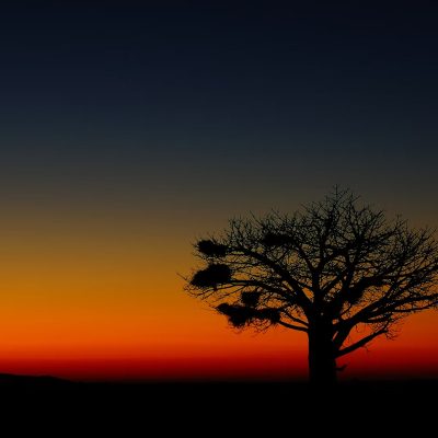 BOTSWANA • La gemma d’Africa