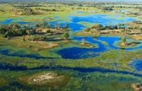 Delta Okavango