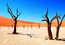 Deserto del Namib