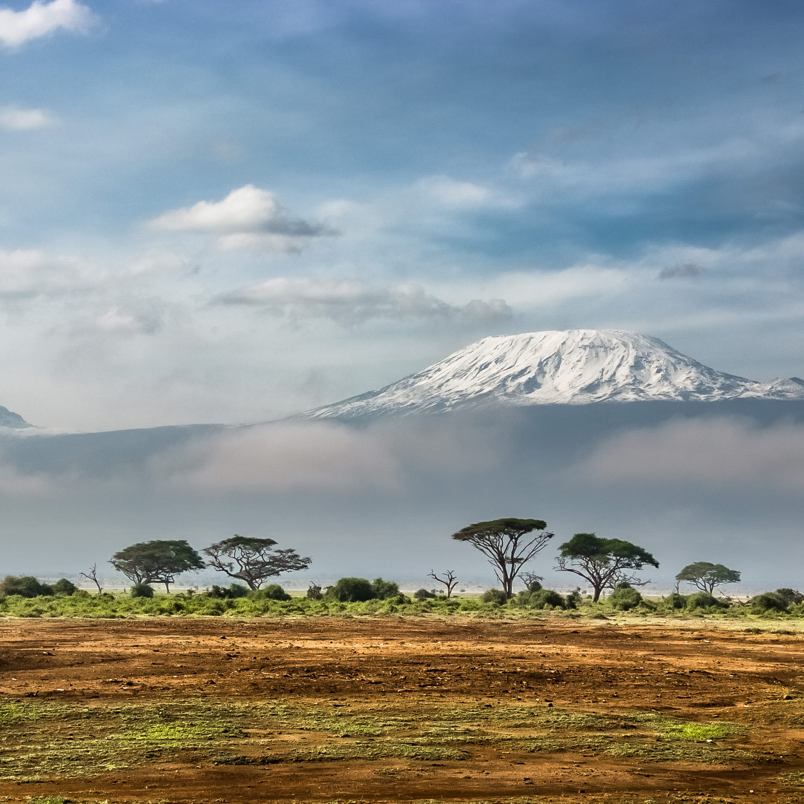 Kilimanjaro
