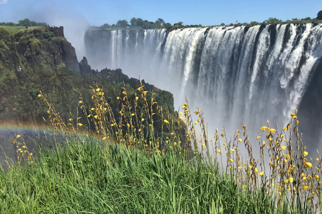 Lower Zambezi