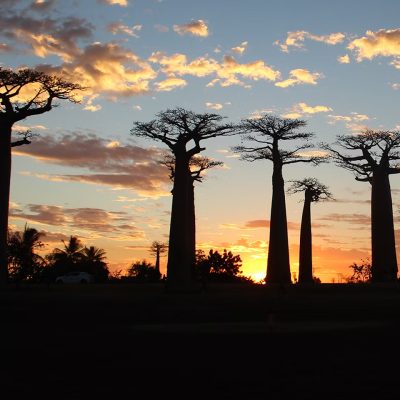 MADAGASCAR • L’isola rossa