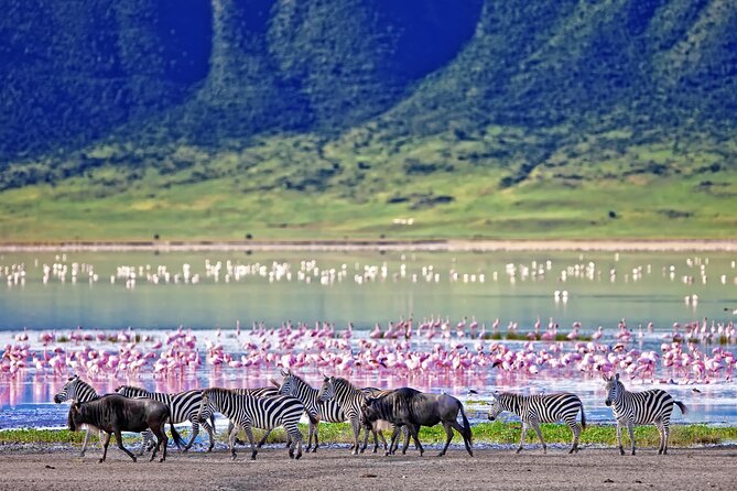 Ngorongoro