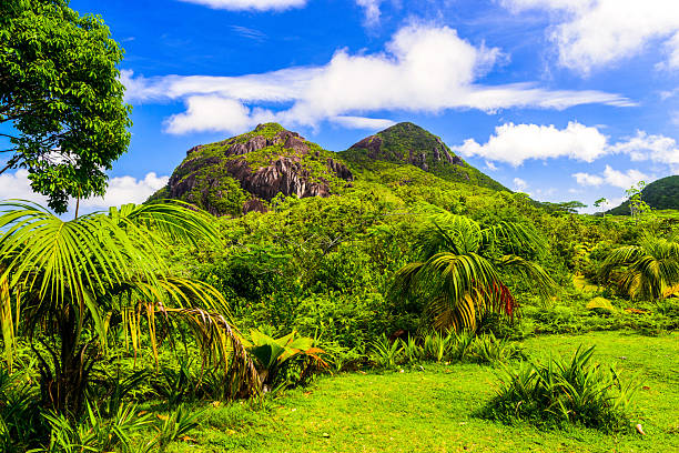 Parco Nazionale Morne Seychellois