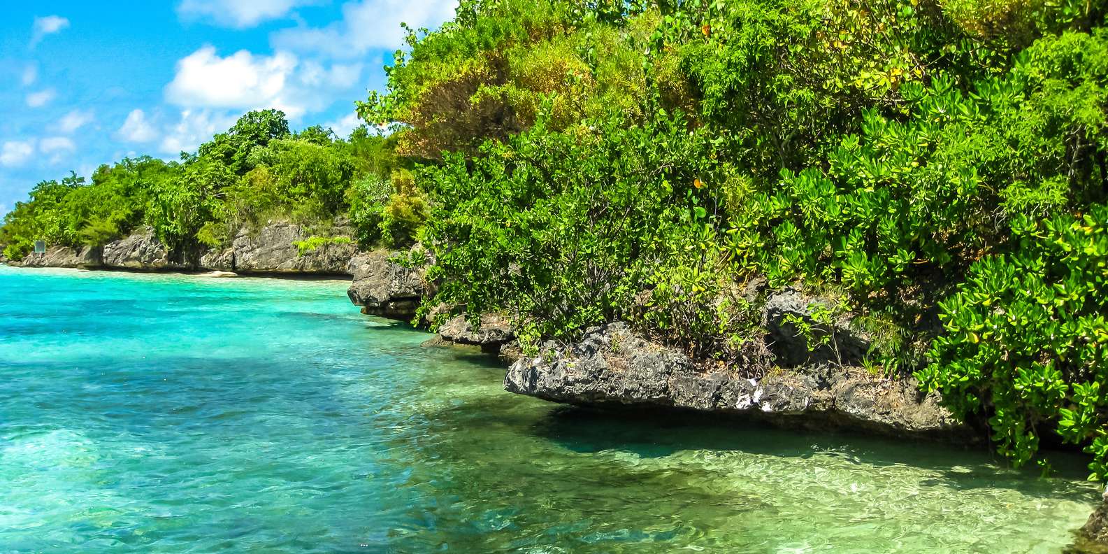 Riserva Naturale di Île aux Aigrettes